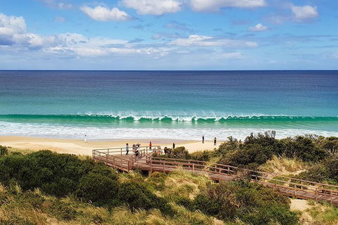 Bruny Island Day Tour, Includes Lunch And Exclusive Lighthouse Tour - Accommodation Resorts 4