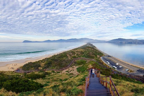 Bruny Island Day Tour, Includes Lunch And Exclusive Lighthouse Tour - Accommodation Resorts 16