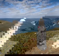 Bruny Island Day Tour Includes Lunch and Exclusive Lighthouse Tour - Accommodation Resorts