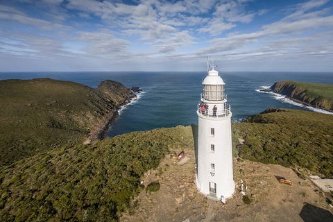 Bruny Island Day Tour, Includes Lunch And Exclusive Lighthouse Tour - Accommodation Resorts 0