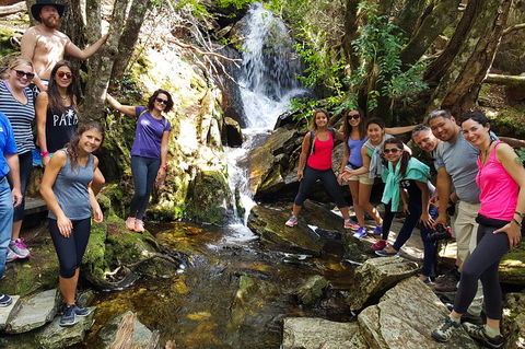 7-Day Super Value Tour Of Tasmania: Explore Tasmania\'s West And East Coasts - Accommodation Resorts 3