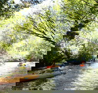 Paddle with the Platypus Twilight Kayak Adventure - Accommodation Resorts