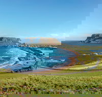 Cruise Ship Special from Burnie to Stanley and The Nut - Accommodation Resorts