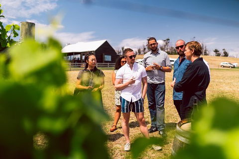 Tasmanian Wine Tour - Accommodation Resorts 4