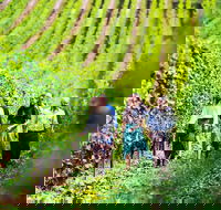 Tasmanian Wine Tour - Accommodation Resorts
