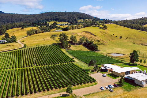 Tasmanian Wine Tour - Accommodation Resorts 11