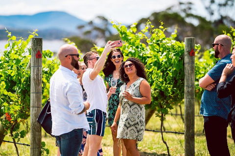 Tasmanian Wine Tour - Accommodation Resorts 3