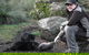 After Dark Tasmanian Devil Feeding Tour At Cradle Mountain - thumb 0