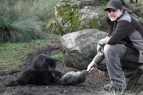 After Dark Tasmanian Devil Feeding Tour At Cradle Mountain - Accommodation Resorts 0