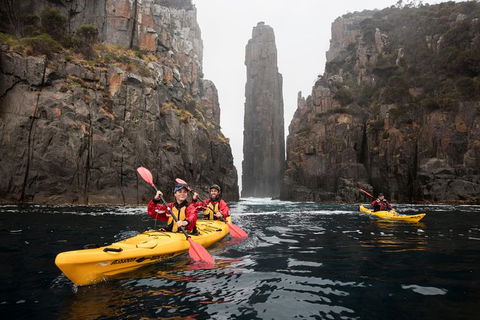Tasman Peninsula Full Day Kayaking Tour - Accommodation Resorts 6