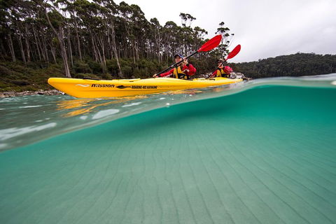 Tasman Peninsula Full Day Kayaking Tour - Accommodation Resorts 5
