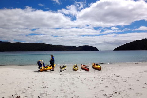 Tasman Peninsula Full Day Kayaking Tour - Accommodation Resorts 3