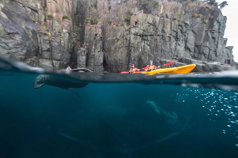 Tasman Peninsula Full Day Kayaking Tour - Accommodation Resorts 0