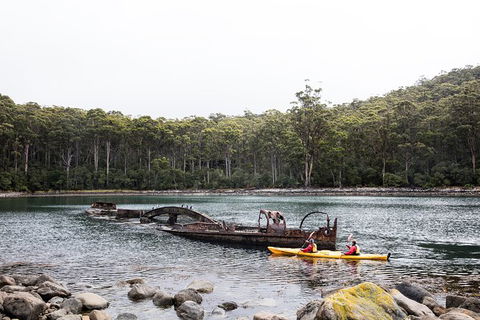 Tasman Peninsula Full Day Kayaking Tour - Accommodation Resorts 2