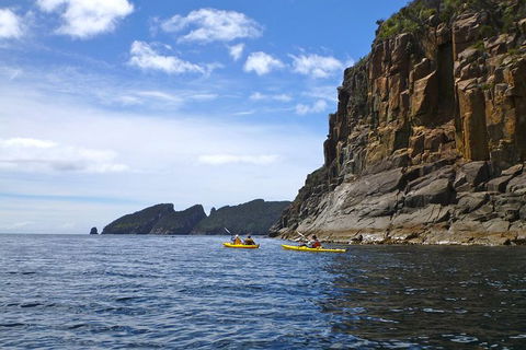 Tasman Peninsula Full Day Kayaking Tour - Accommodation Resorts 4