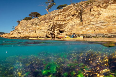 Hobart\'s Cliffs, Caves And Beaches Kayak Tour - Accommodation Resorts 2
