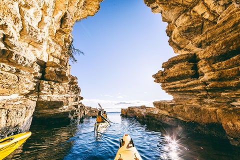 Hobart\'s Cliffs, Caves And Beaches Kayak Tour - Accommodation Resorts 0