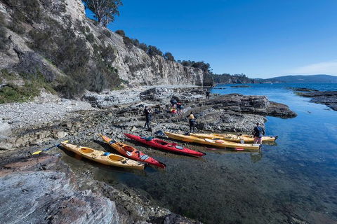 Hobart\'s Cliffs, Caves And Beaches Kayak Tour - Accommodation Resorts 1