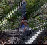 Tahune Airwalk Active Day Trip from Hobart Including Hastings Caves - Accommodation Resorts