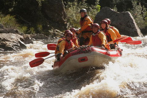 King River White Water Raft Journey From Queenstown With Lunch - Accommodation Resorts 4