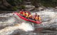 King River White Water Raft Journey From Queenstown With Lunch - thumb 0