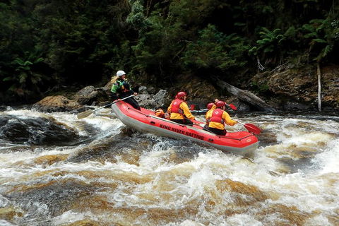 King River Whitewater Rafting Trip Including The Westcoast Wilderness Railway - Accommodation Resorts 3