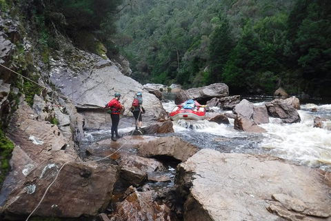 King River Whitewater Rafting Trip Including The Westcoast Wilderness Railway - Accommodation Resorts 2