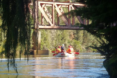 King River Rafting Day Trip From Queenstown To Strahan And Return Including The West Coast Wilderness Railway - Accommodation Resorts 1