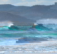 Full Day Tour Hobart East Coast Classic Wine Beach Oysters Seafood  Berries - Accommodation Resorts