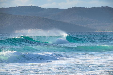 Full Day Tour Hobart: East Coast Classic Wine, Beach, Oysters, Seafood & Berries - Accommodation Resorts 0