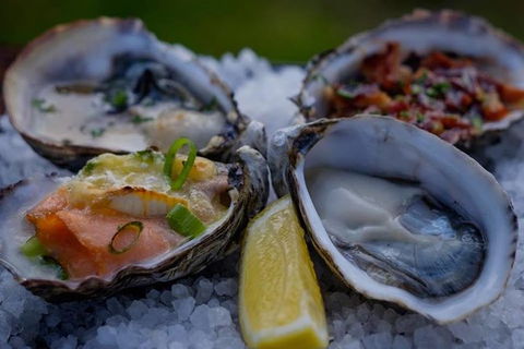 Full Day Tour Hobart: East Coast Classic Wine, Beach, Oysters, Seafood & Berries - Accommodation Resorts 3