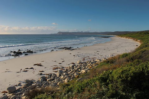 Full Day Tour Hobart: East Coast Classic Wine, Beach, Oysters, Seafood & Berries - Accommodation Resorts 4