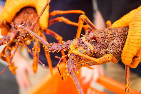 Full Day Tour Hobart: East Coast Classic Wine, Beach, Oysters, Seafood & Berries - Accommodation Resorts 12