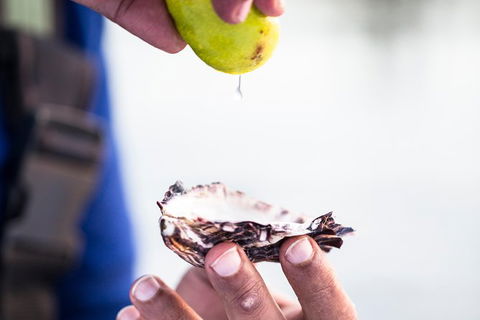 Full Day Tour Hobart: East Coast Classic Wine, Beach, Oysters, Seafood & Berries - Accommodation Resorts 18