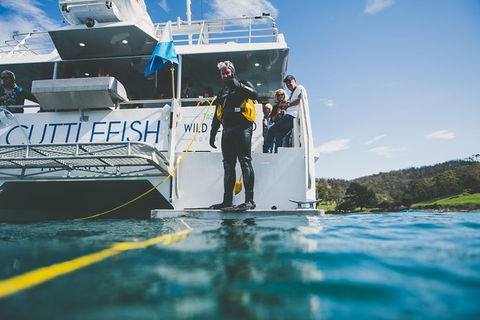 Deep-to-Dish: Tasmanian Seafood Experience - Afternoon Tour - Accommodation Resorts 6