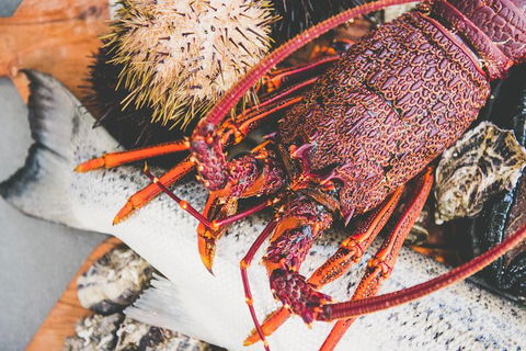 Deep-to-Dish: Tasmanian Seafood Experience - Afternoon Tour - Accommodation Resorts 7