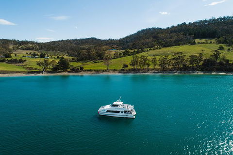 Deep-to-Dish: Tasmanian Seafood Experience - Afternoon Tour - Accommodation Resorts 8