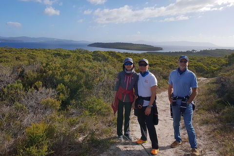 Maria Island And East Coast Five Day Cruise - Accommodation Resorts 2