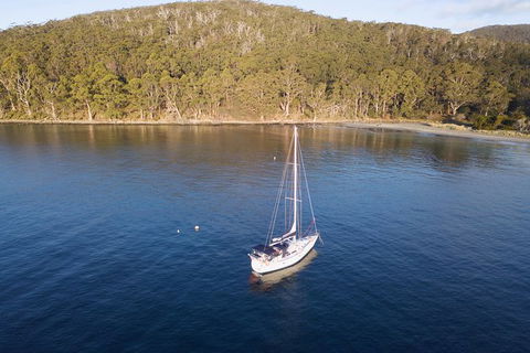 Maria Island And East Coast Five Day Cruise - Accommodation Resorts 5