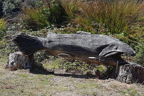 Cruise Ship Excursion: Gourmet Food & Wine - Accommodation Resorts 10