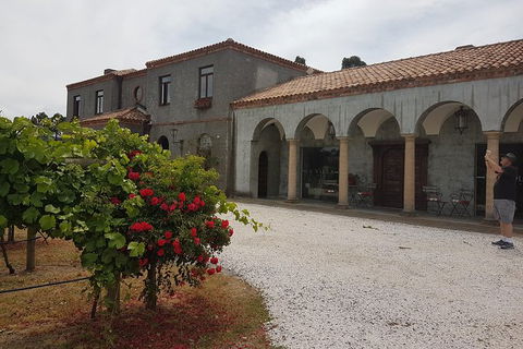 Cruise Ship Excursion: Gourmet Food & Wine - Accommodation Resorts 18