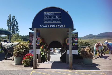 Cruise Ship Excursion: Gourmet Food & Wine - Accommodation Resorts 8