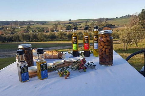 Cruise Ship Excursion: Gourmet Food & Wine - Accommodation Resorts 17