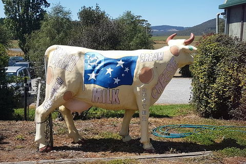 Cruise Ship Excursion: Gourmet Food & Wine - Accommodation Resorts 12