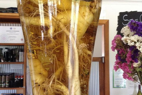 Cruise Ship Excursion: Gourmet Food & Wine - Accommodation Resorts 14