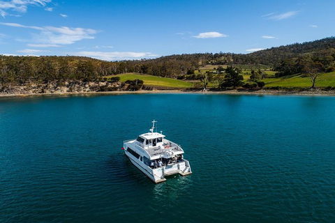 Deep-to-Dish: Tasmanian Seafood Experience - Morning Tour - Accommodation Resorts 4