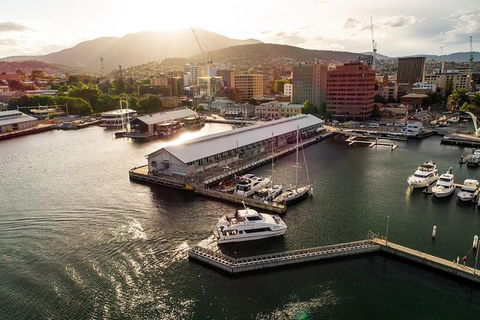 Deep-to-Dish: Tasmanian Seafood Experience - Morning Tour - Accommodation Resorts 2