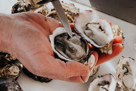 Deep-to-Dish: Tasmanian Seafood Experience - Morning Tour - Accommodation Resorts 5