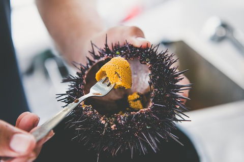 Deep-to-Dish: Tasmanian Seafood Experience - Morning Tour - Accommodation Resorts 9