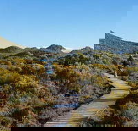Hartz Mountains premium private photo-oriented day tour from Hobart - Accommodation Resorts